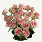 bloomchain exports -dinara flower