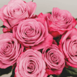 BLOOMCHAIN EXPORTS - MOOD BLUE FLOWER
