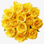 BLOOMCHAIN EXPORTS - MOONWALK FLOWER