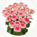 bloomchain exports -tralala flower